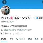 ヒメ日記 2025/08/24 00:25 投稿 さくら コルドンブルー