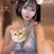 ヒメ日記 2025/09/01 13:35 投稿 さくら コルドンブルー