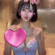 ヒメ日記 2025/09/01 17:05 投稿 さくら コルドンブルー