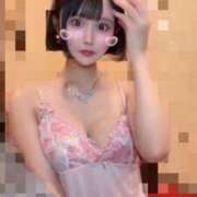 ヒメ日記 2025/10/05 14:20 投稿 さくら コルドンブルー