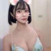 ヒメ日記 2025/10/29 13:55 投稿 さくら コルドンブルー