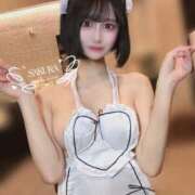 ヒメ日記 2025/11/08 15:55 投稿 さくら コルドンブルー