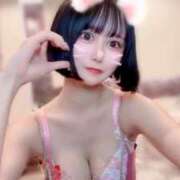 ヒメ日記 2025/11/09 22:26 投稿 さくら コルドンブルー