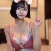 ヒメ日記 2025/11/20 10:35 投稿 さくら コルドンブルー