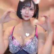 ヒメ日記 2025/11/20 13:05 投稿 さくら コルドンブルー