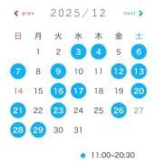 ヒメ日記 2025/11/22 14:25 投稿 さくら コルドンブルー