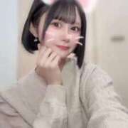 ヒメ日記 2025/11/29 19:45 投稿 さくら コルドンブルー