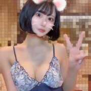 ヒメ日記 2025/12/10 12:45 投稿 さくら コルドンブルー