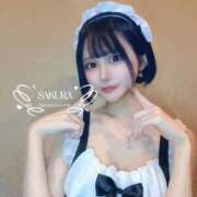 ヒメ日記 2025/12/20 10:35 投稿 さくら コルドンブルー