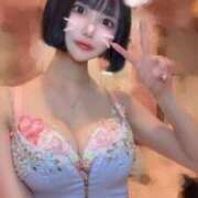 ヒメ日記 2026/01/12 00:05 投稿 さくら コルドンブルー