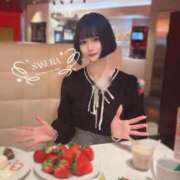 ヒメ日記 2026/01/16 10:05 投稿 さくら コルドンブルー