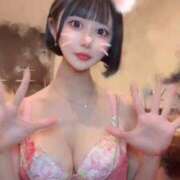 ヒメ日記 2026/01/18 00:45 投稿 さくら コルドンブルー