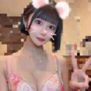 ヒメ日記 2026/01/19 10:15 投稿 さくら コルドンブルー