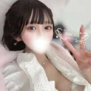 ヒメ日記 2026/02/03 01:55 投稿 さくら コルドンブルー