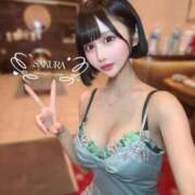 ヒメ日記 2026/02/07 10:05 投稿 さくら コルドンブルー