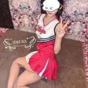 ヒメ日記 2026/02/12 10:25 投稿 さくら コルドンブルー