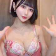 ヒメ日記 2026/03/04 18:25 投稿 さくら コルドンブルー