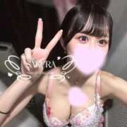 ヒメ日記 2026/03/21 18:25 投稿 さくら コルドンブルー