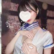 ヒメ日記 2026/04/03 10:35 投稿 さくら コルドンブルー