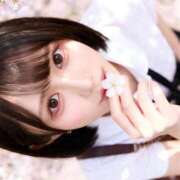 ヒメ日記 2026/04/07 15:05 投稿 さくら コルドンブルー