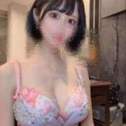 ヒメ日記 2026/04/10 00:05 投稿 さくら コルドンブルー