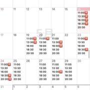 ヒメ日記 2026/05/16 10:40 投稿 さくら コルドンブルー