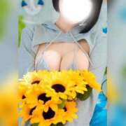 さくら この夏最後の向日葵写真🌻 コルドンブルー