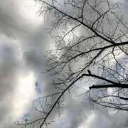 ヒメ日記 2024/12/24 08:46 投稿 芹澤ちひろ 恋する奥さん 西中島店