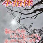 ヒメ日記 2025/04/02 12:28 投稿 芹澤ちひろ 恋する奥さん 西中島店