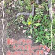 ヒメ日記 2025/05/12 12:40 投稿 芹澤ちひろ 恋する奥さん 西中島店