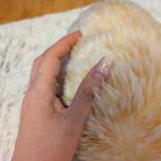 ヒメ日記 2026/02/16 00:44 投稿 芹澤ちひろ 恋する奥さん 西中島店