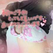 ヒメ日記 2026/04/08 15:02 投稿 芹澤ちひろ 恋する奥さん 西中島店