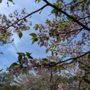 芹澤ちひろ まだ咲いてる 恋する奥さん 西中島店