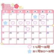 ヒメ日記 2024/12/21 21:20 投稿 あおい【高山出発】 Cat's高山店