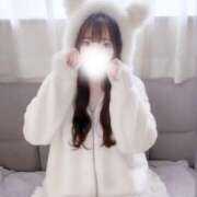 ヒメ日記 2025/01/08 15:10 投稿 あおい【高山出発】 Cat's高山店