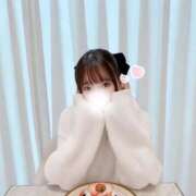 ヒメ日記 2025/01/11 11:50 投稿 あおい【高山出発】 Cat's高山店