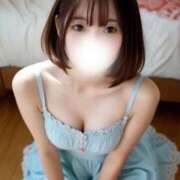 ヒメ日記 2025/02/01 15:40 投稿 あおい【高山出発】 Cat's高山店