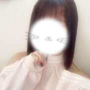 ヒメ日記 2025/02/15 13:20 投稿 あおい【高山出発】 Cat's高山店