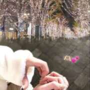 ヒメ日記 2025/02/21 09:30 投稿 あおい【高山出発】 Cat's高山店