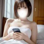 ヒメ日記 2025/02/23 17:20 投稿 あおい【高山出発】 Cat's高山店