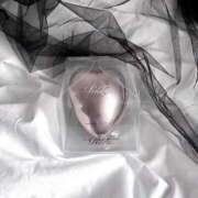 ヒメ日記 2025/03/03 16:40 投稿 あおい【高山出発】 Cat's高山店