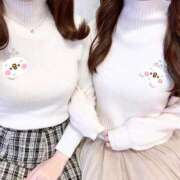 ヒメ日記 2025/03/04 14:50 投稿 あおい【高山出発】 Cat's高山店