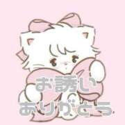 ヒメ日記 2025/03/13 17:00 投稿 あおい【高山出発】 Cat's高山店