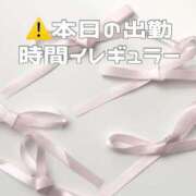 ヒメ日記 2025/03/19 11:20 投稿 あおい【高山出発】 Cat's高山店