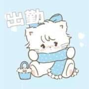 ヒメ日記 2025/03/19 17:20 投稿 あおい【高山出発】 Cat's高山店