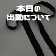 ヒメ日記 2025/03/25 11:20 投稿 あおい【高山出発】 Cat's高山店