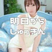 ヒメ日記 2025/03/29 10:30 投稿 あおい【高山出発】 Cat's高山店