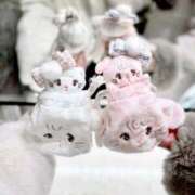 ヒメ日記 2025/03/29 11:20 投稿 あおい【高山出発】 Cat's高山店