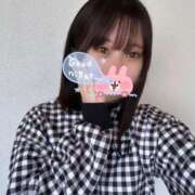 ヒメ日記 2025/04/08 13:20 投稿 あおい【高山出発】 Cat's高山店