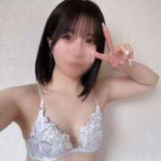 ヒメ日記 2025/04/10 16:40 投稿 あおい【高山出発】 Cat's高山店